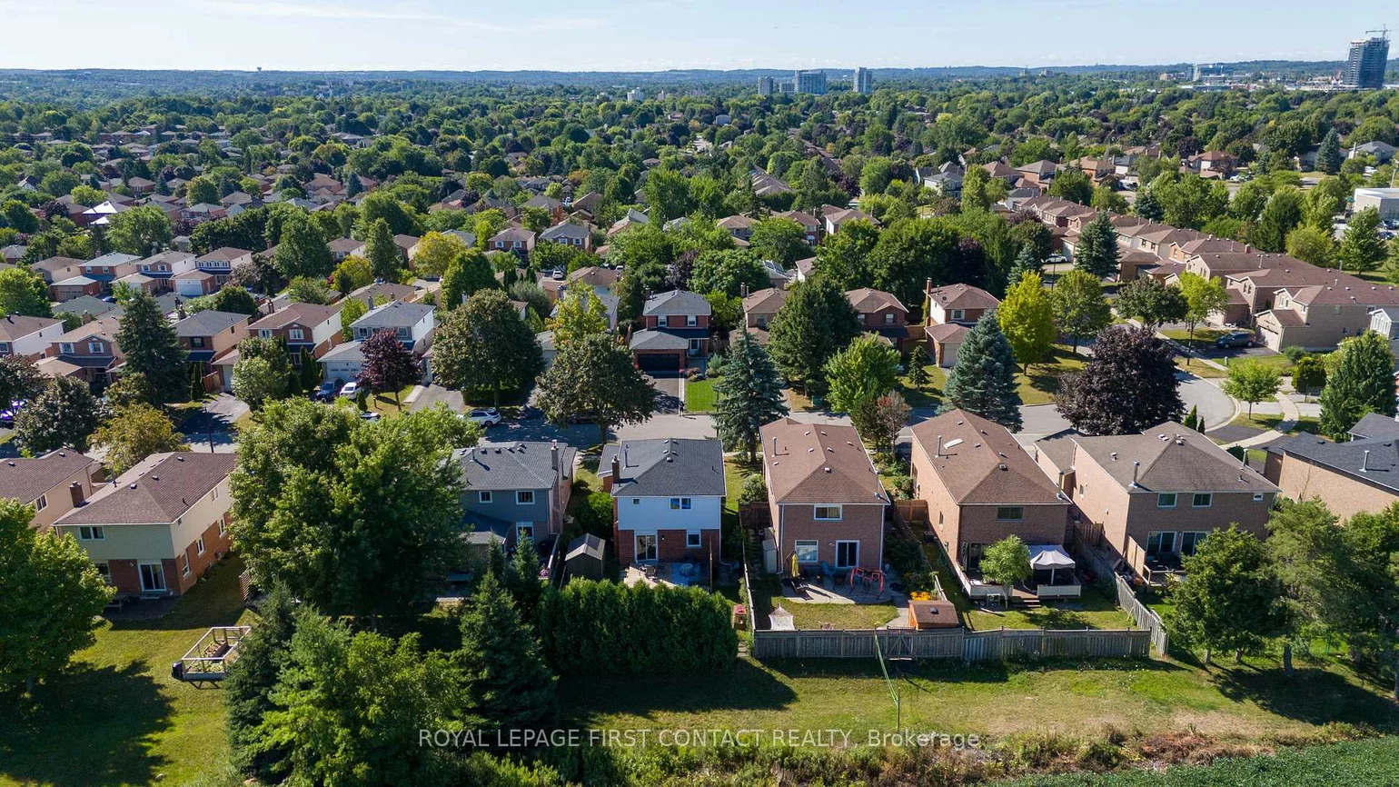 195, Billings, Bristol-London, Newmarket