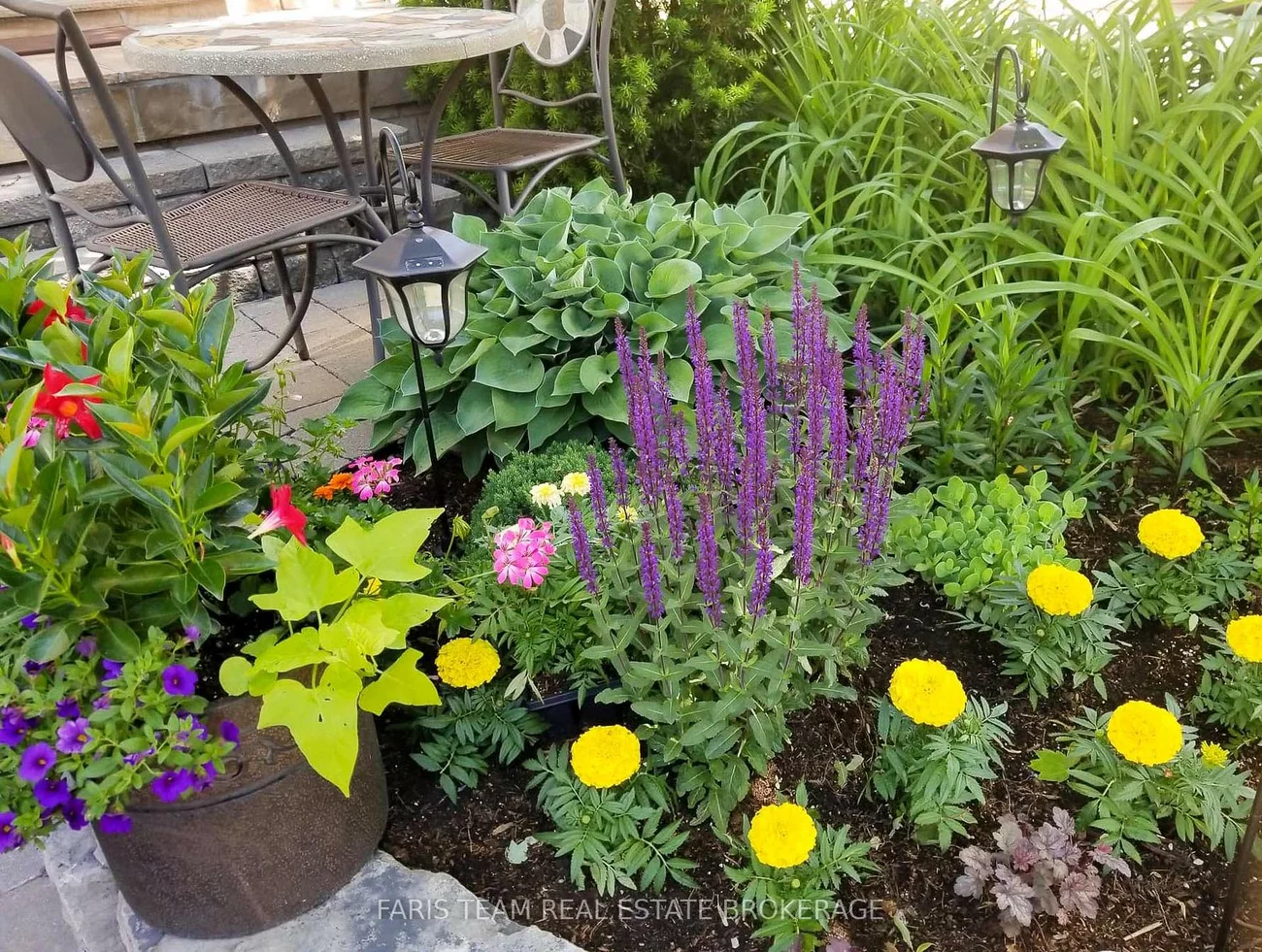 272, Tom Taylor, Summerhill Estates, Newmarket