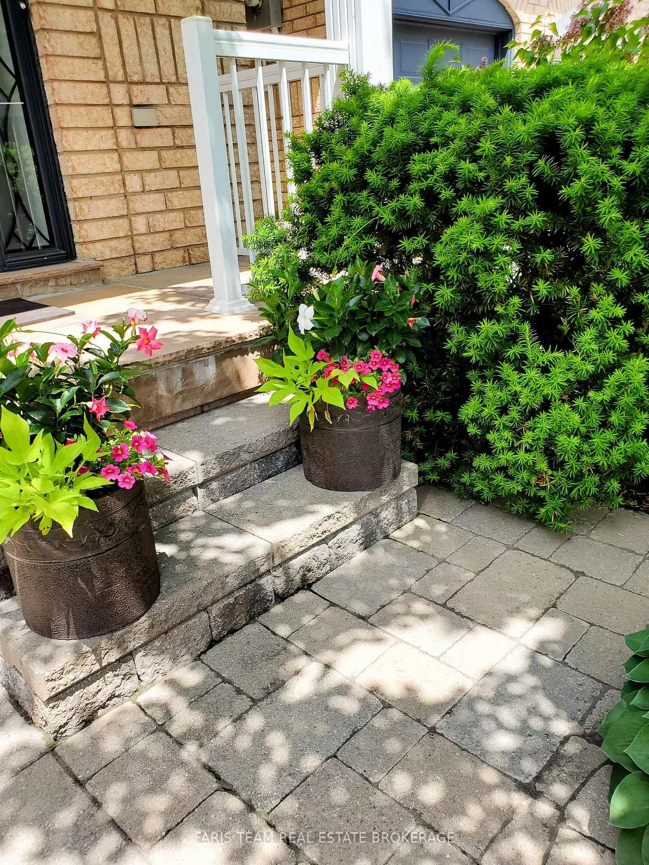 272, Tom Taylor, Summerhill Estates, Newmarket