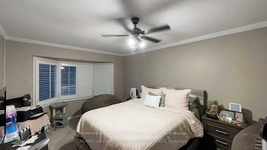 719, Shanahan, Armitage, Newmarket