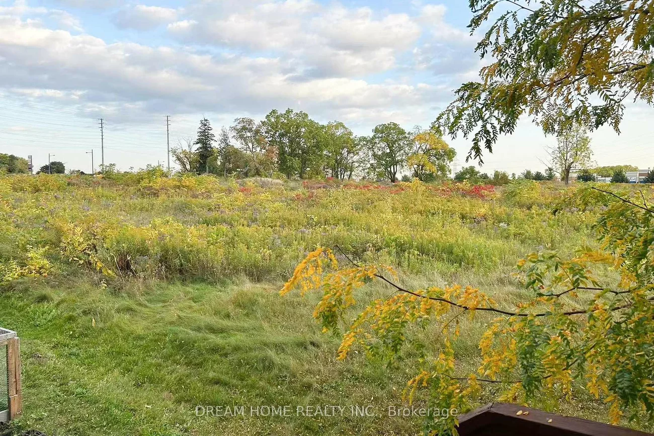 208, Tom Taylor, Summerhill Estates, Newmarket