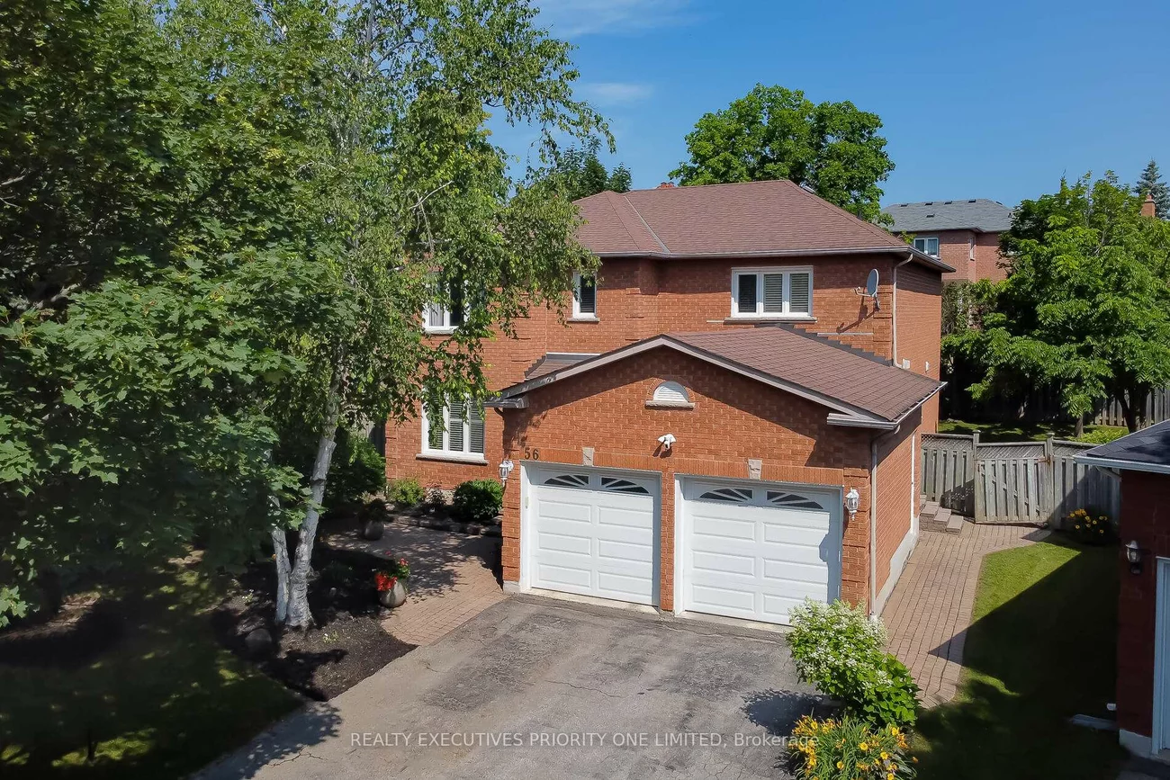 56, Nelson, Armitage, Newmarket