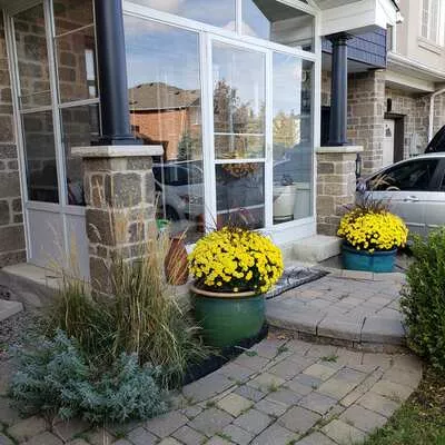 172, Matthew Boyd, Woodland Hill, Newmarket