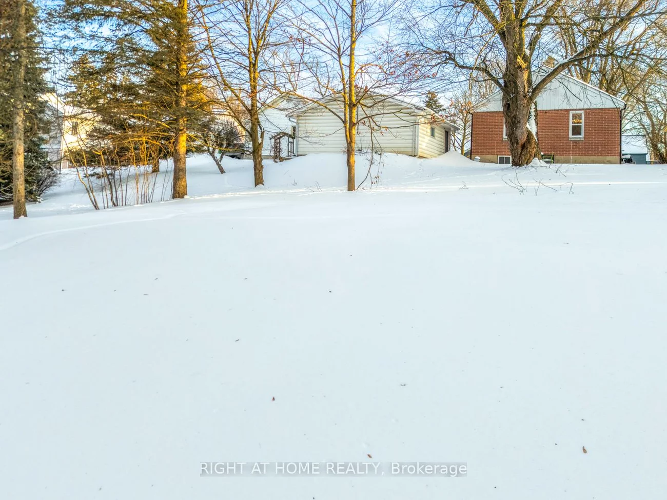 735, Srigley, Gorham-College Manor, Newmarket