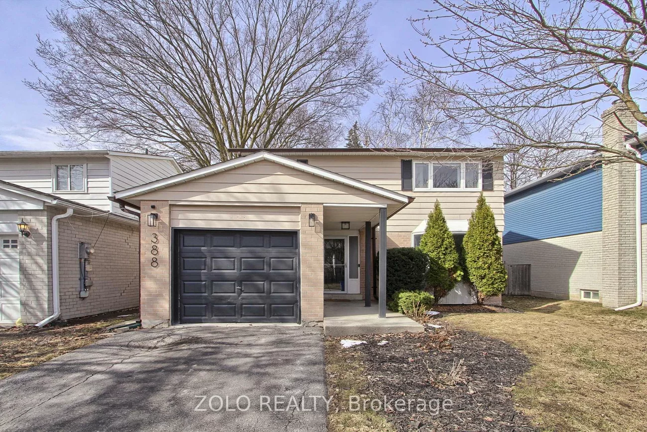 388, Terry, Central Newmarket, Newmarket