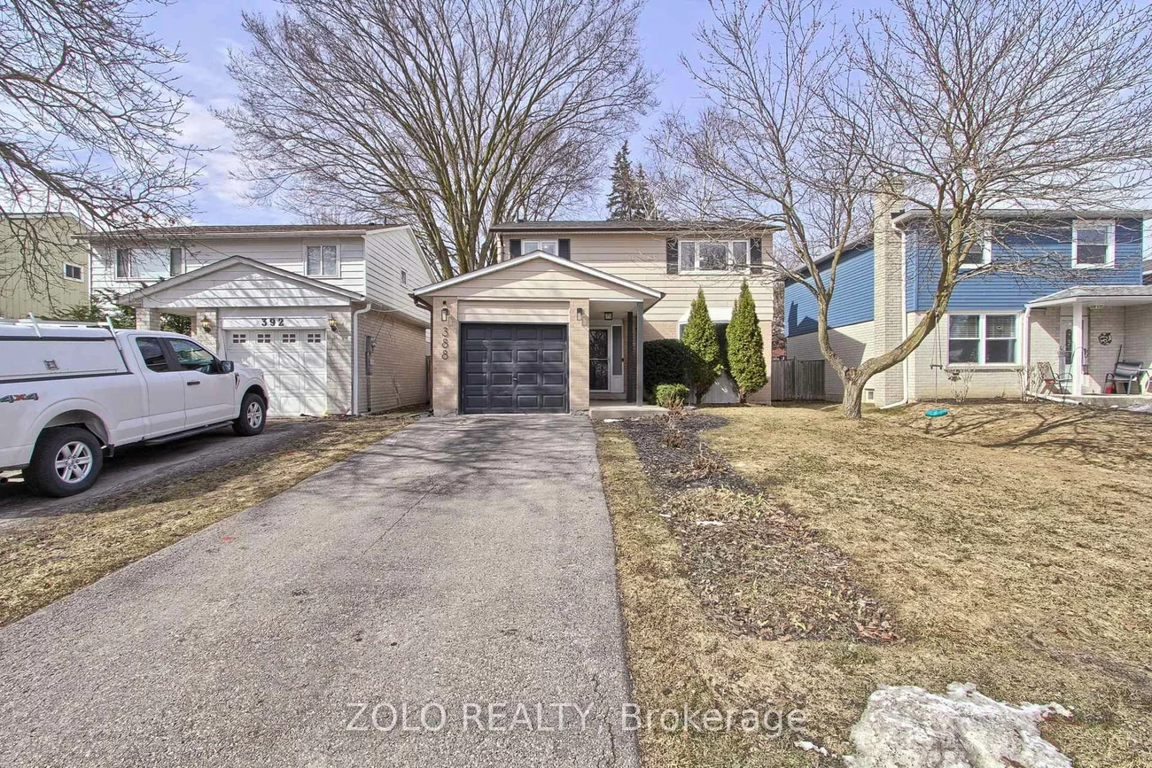 388, Terry, Central Newmarket, Newmarket