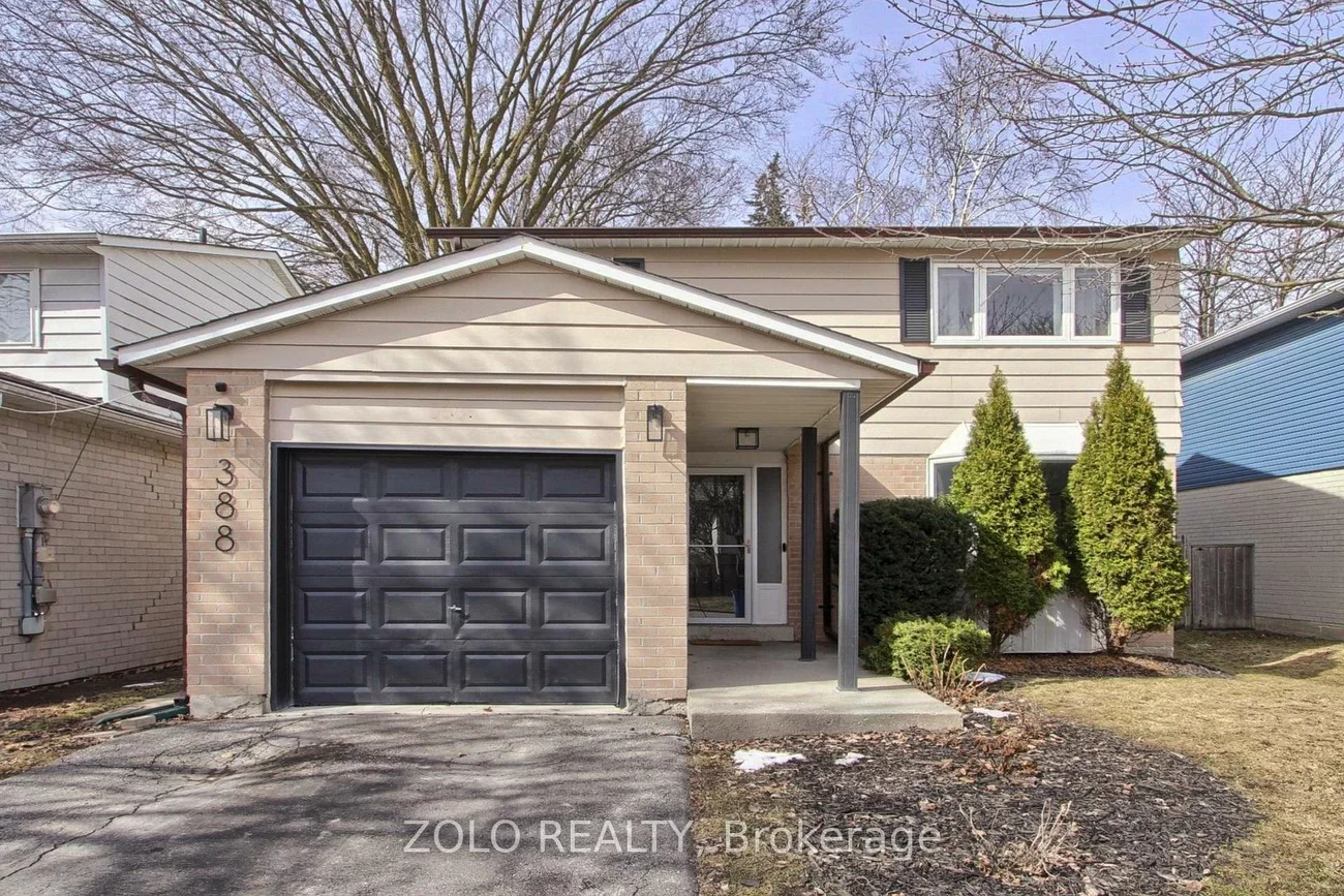 388, Terry, Central Newmarket, Newmarket