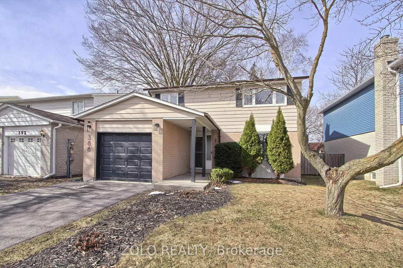 388, Terry, Central Newmarket, Newmarket