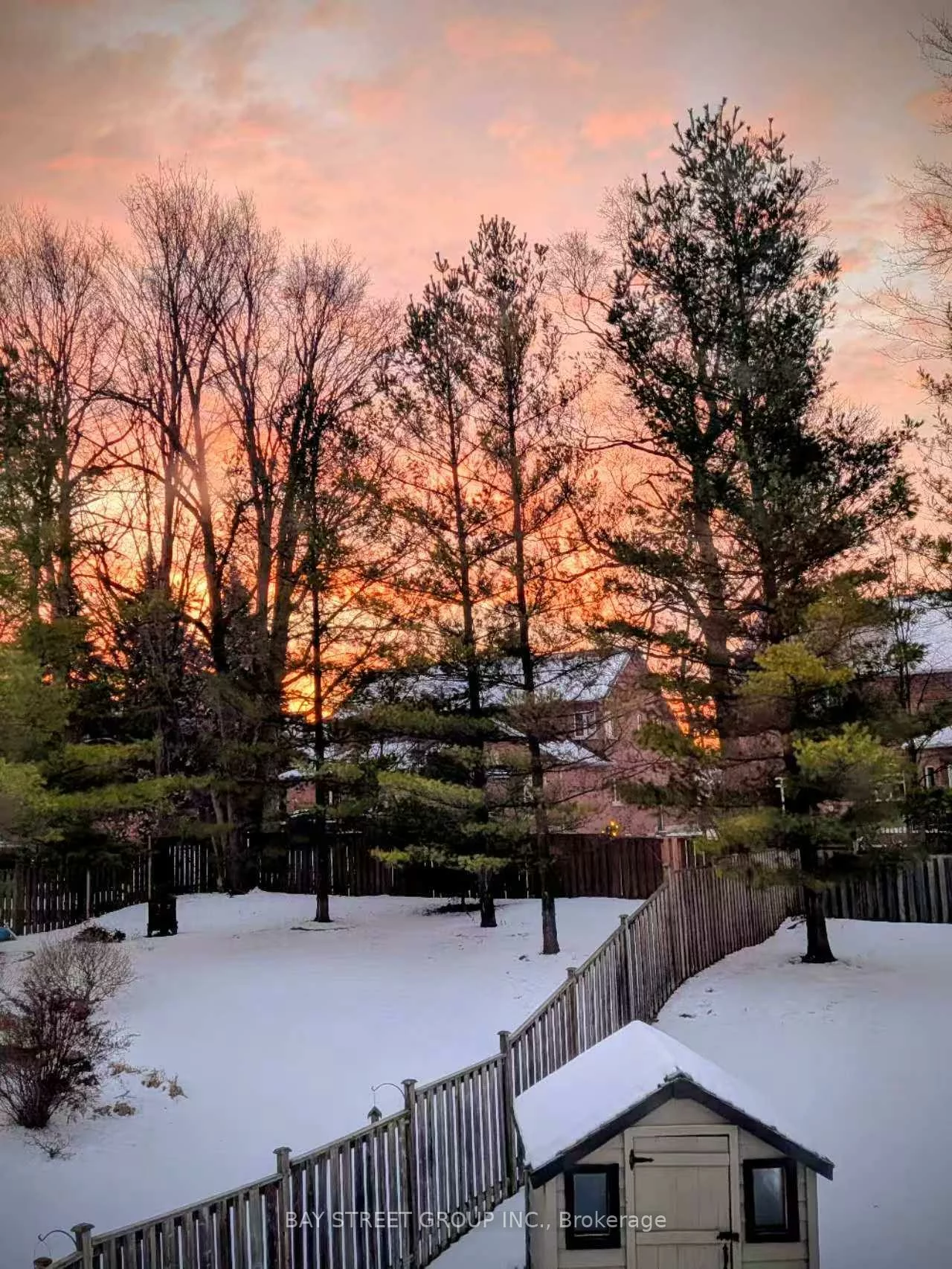 1011, Nellie Little, Stonehaven-Wyndham, Newmarket