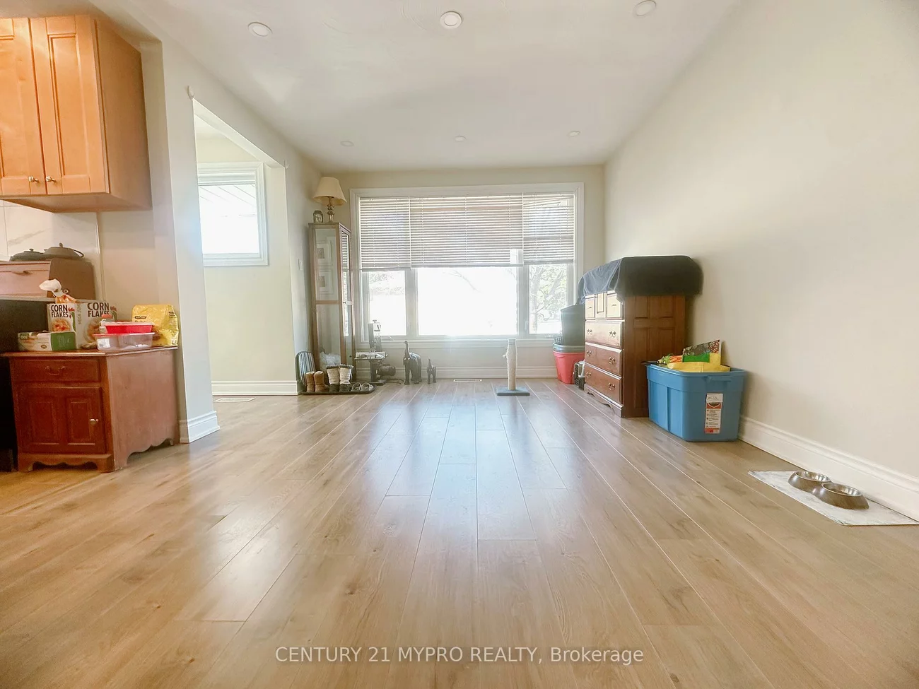 150, Maurice, Bristol-London, Newmarket