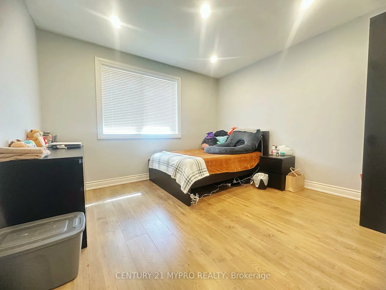 150, Maurice, Bristol-London, Newmarket