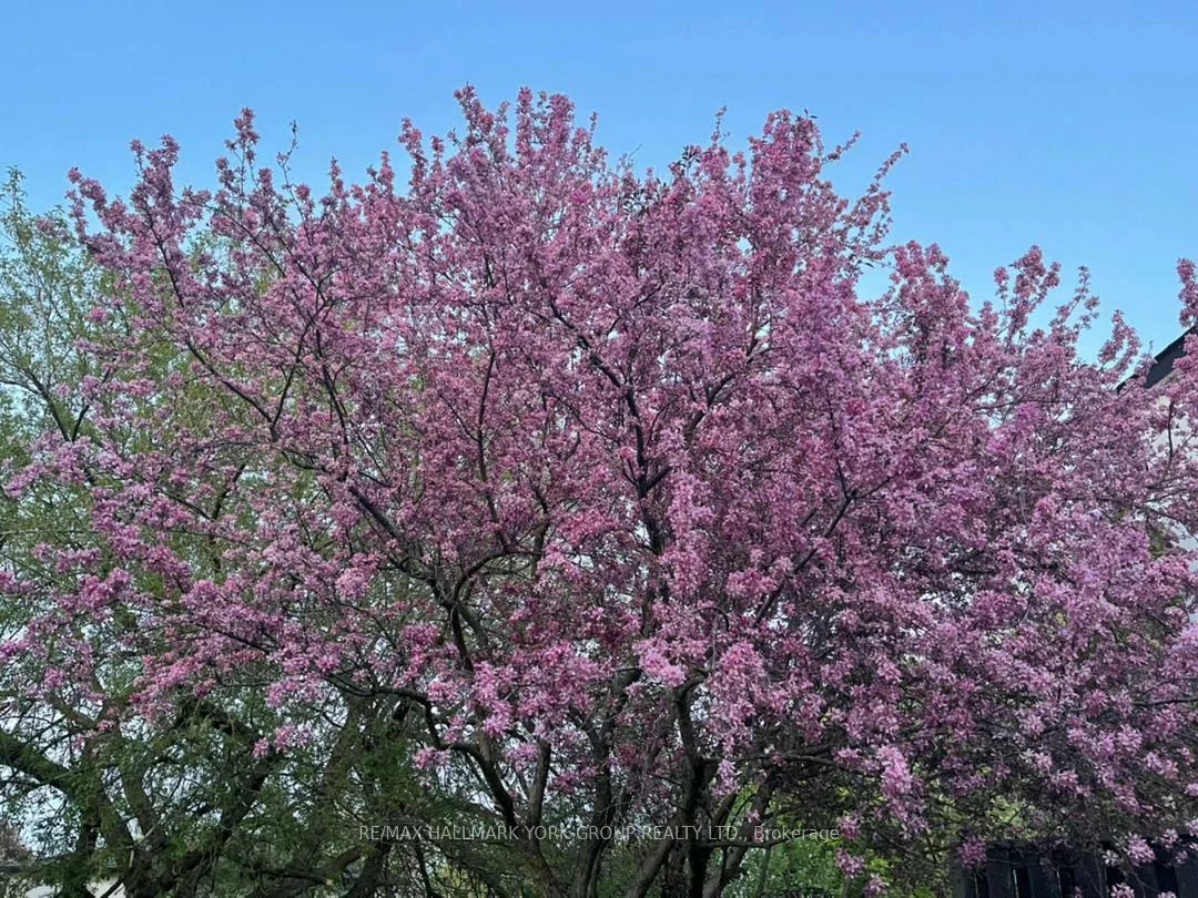 459, Sandford, Central Newmarket, Newmarket