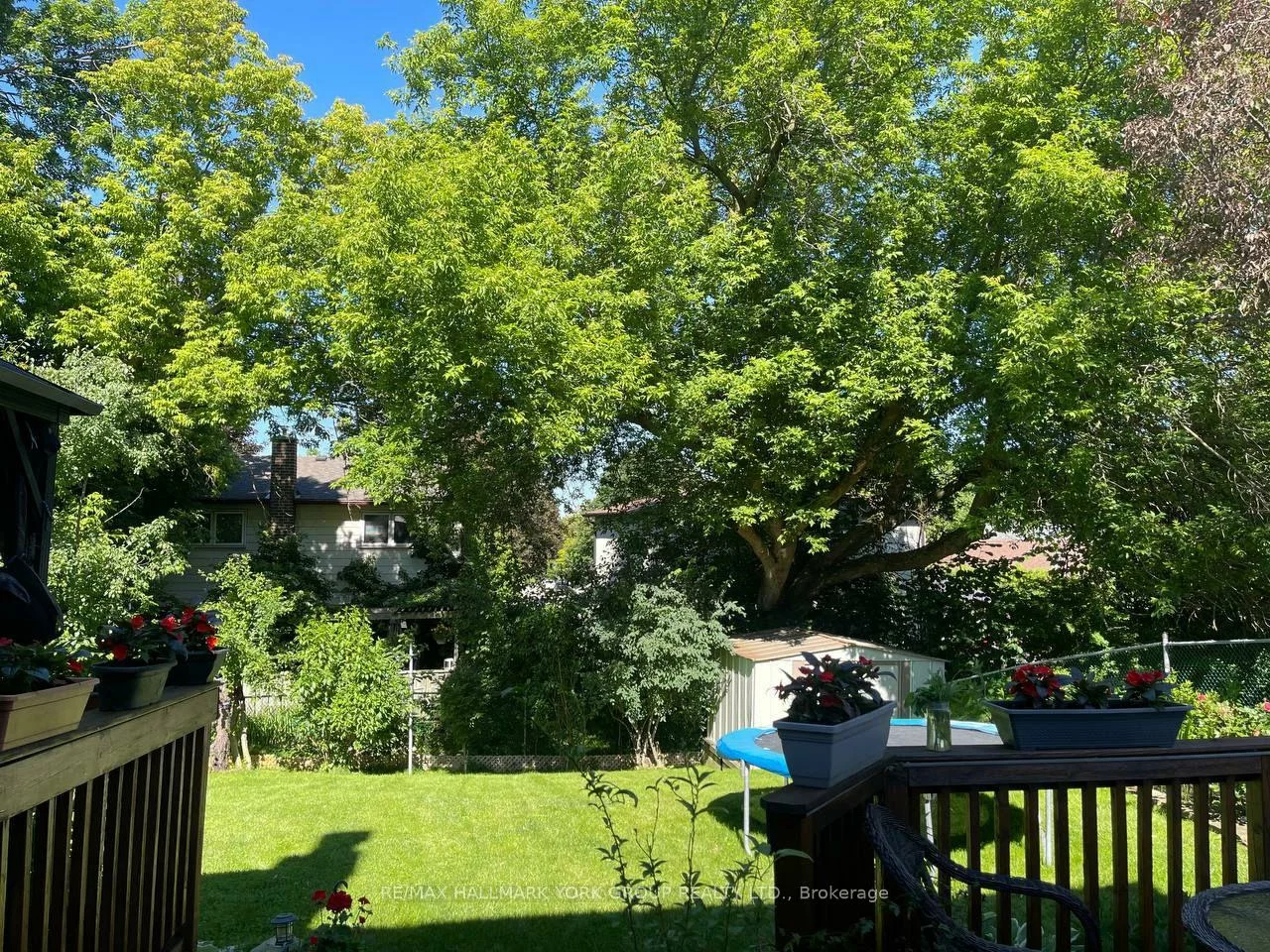 459, Sandford, Central Newmarket, Newmarket