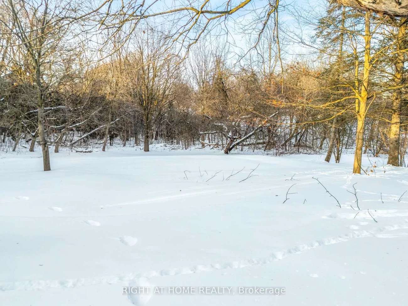 735, Srigley, Gorham-College Manor, Newmarket