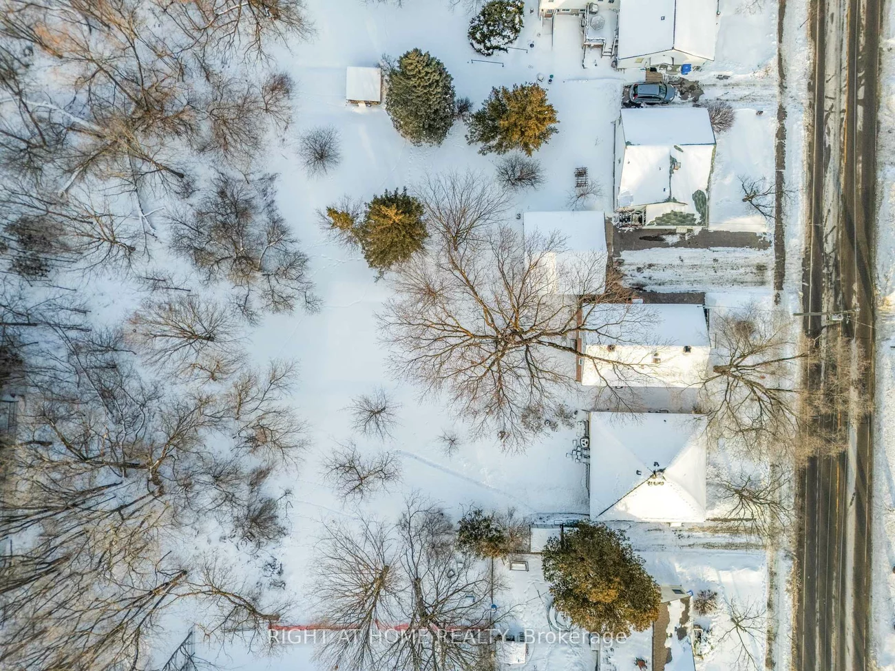 735, Srigley, Gorham-College Manor, Newmarket