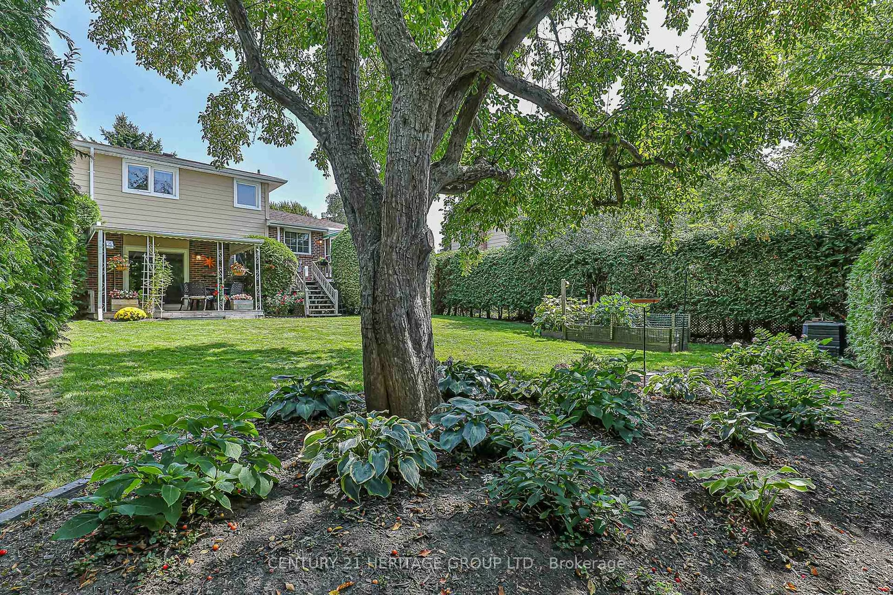 68, Highland, Gorham-College Manor, Newmarket