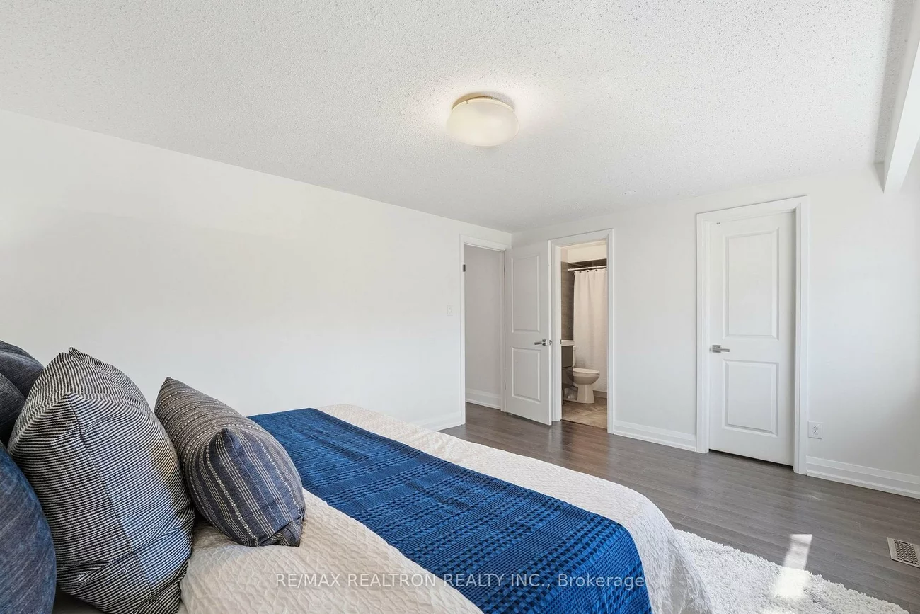 117, Cardinal, Bristol-London, Newmarket