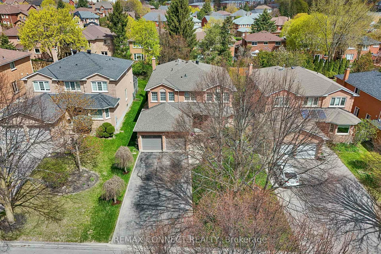 20, Goldsmith, Armitage, Newmarket