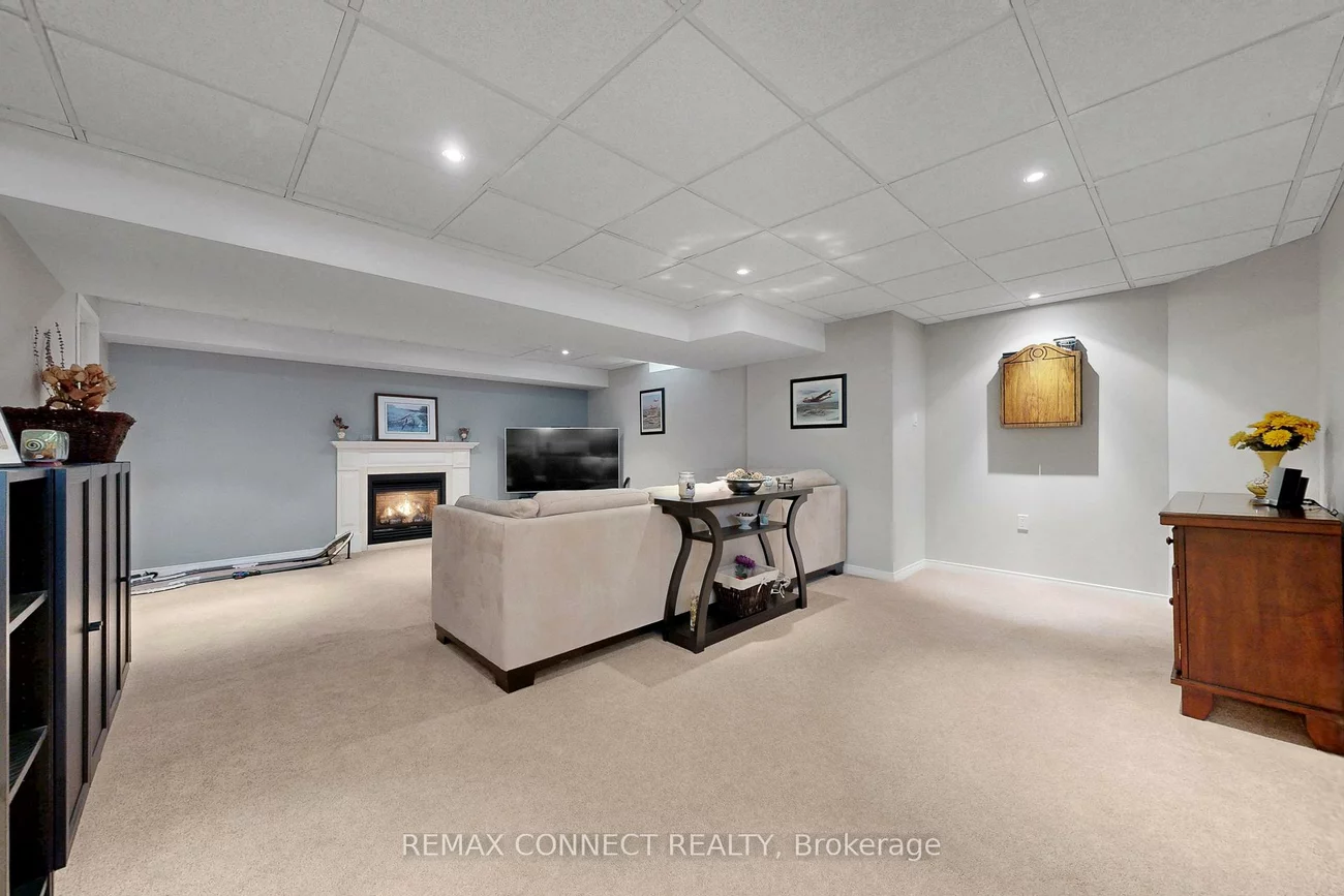 20, Goldsmith, Armitage, Newmarket