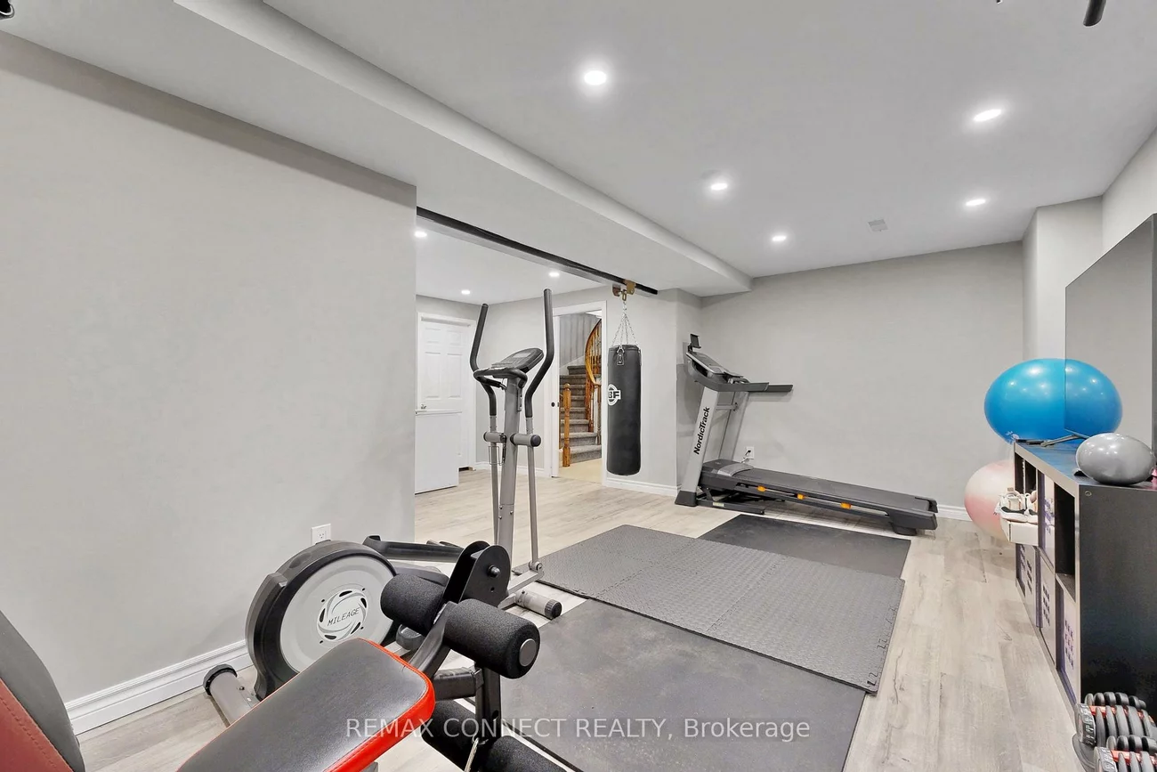 20, Goldsmith, Armitage, Newmarket