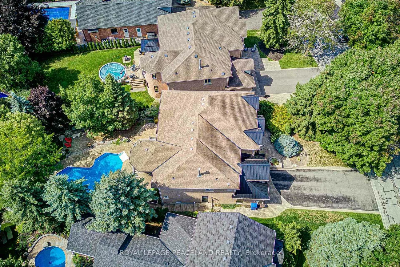 709, Highland Blade, Stonehaven-Wyndham, Newmarket