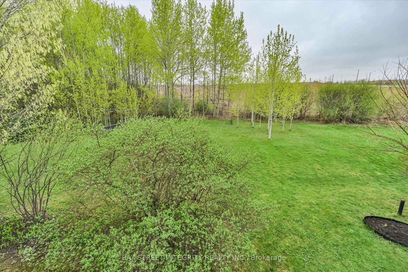 535, Malvern, Bristol-London, Newmarket
