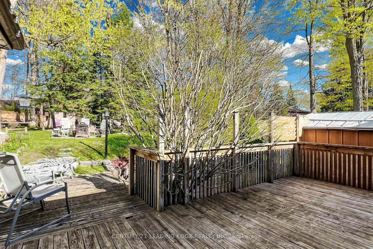 323, Waratah, Huron Heights-Leslie Valley, Newmarket