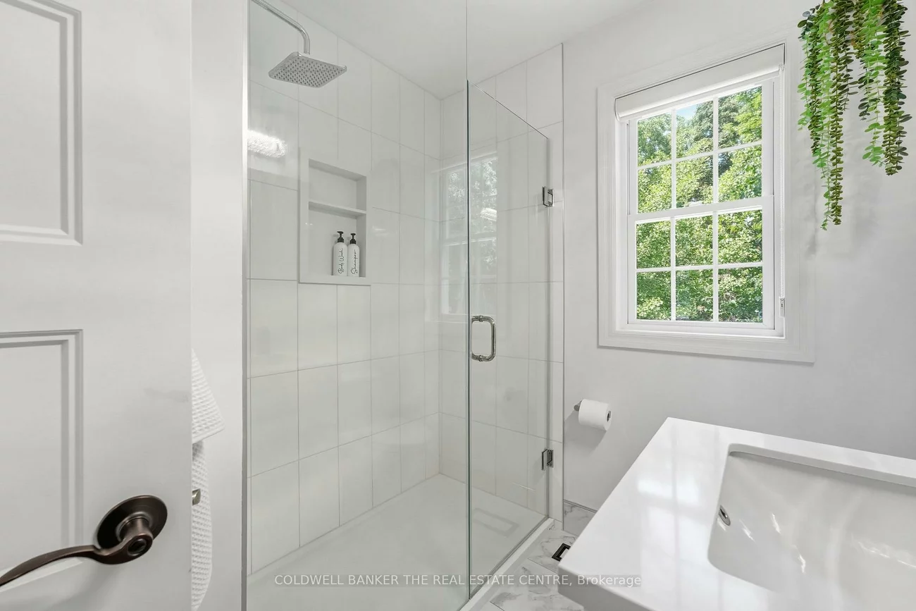 519, College, Central Newmarket, Newmarket