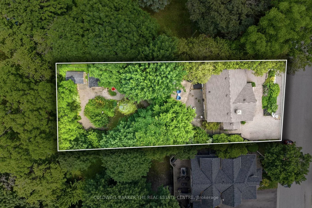 519, College, Central Newmarket, Newmarket