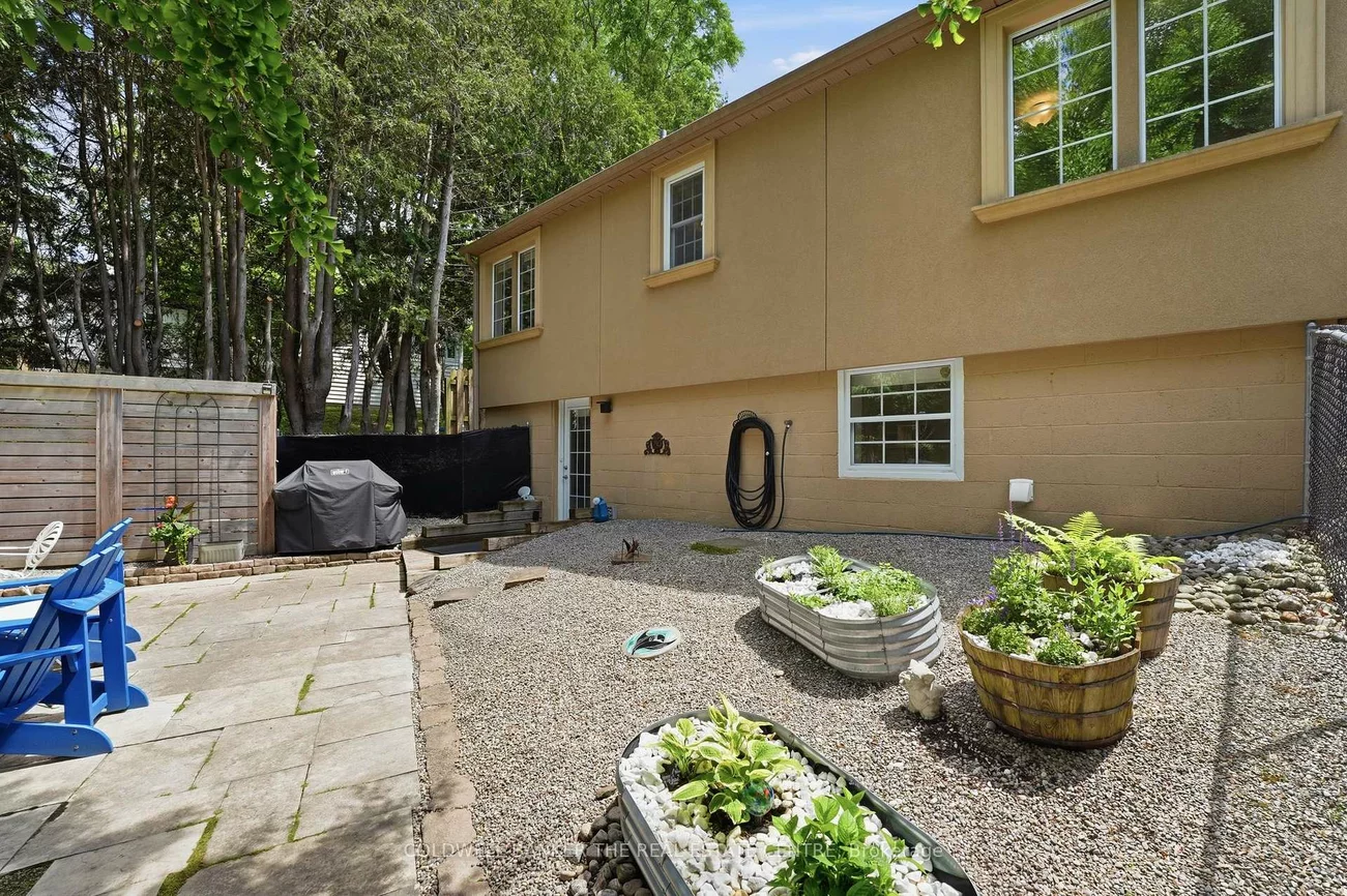 519, College, Central Newmarket, Newmarket