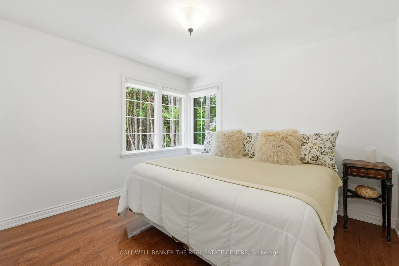 519, College, Central Newmarket, Newmarket