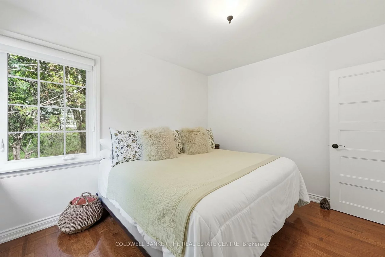 519, College, Central Newmarket, Newmarket