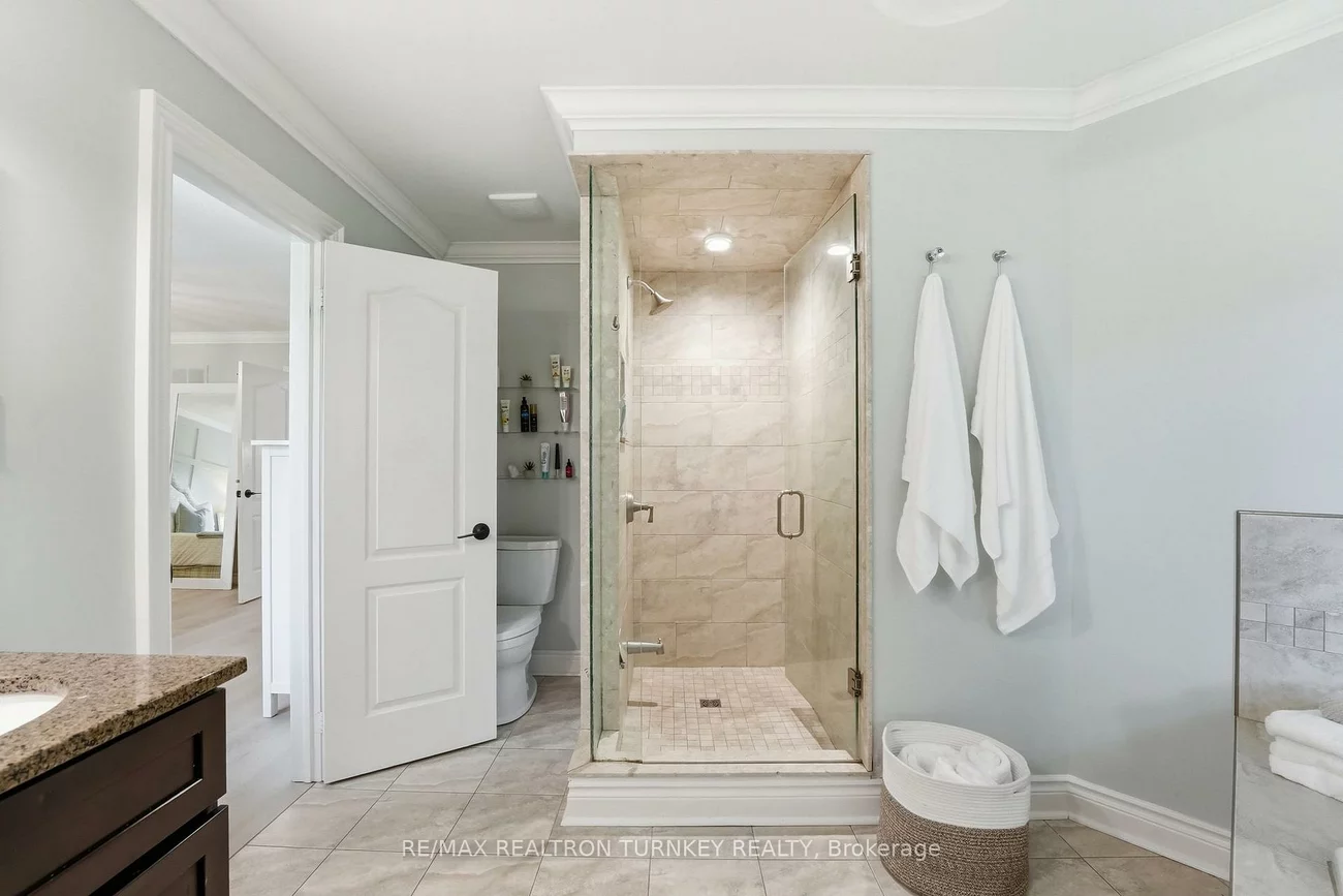 818, Exceller, Stonehaven-Wyndham, Newmarket