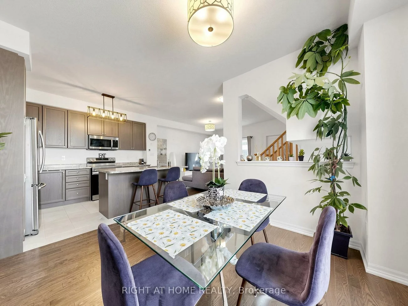 65, Allure, Woodland Hill, Newmarket