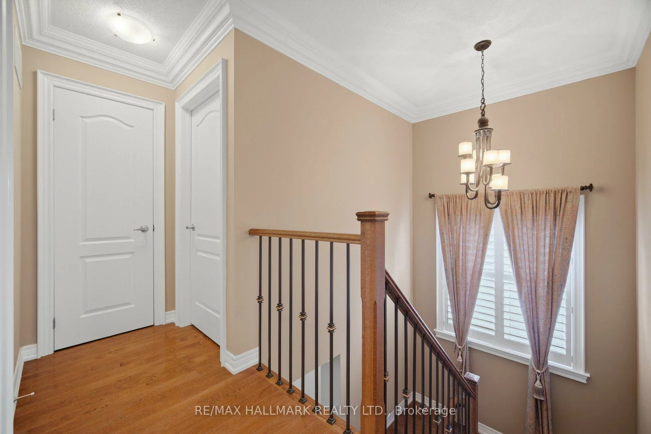 116, Beare, Woodland Hill, Newmarket