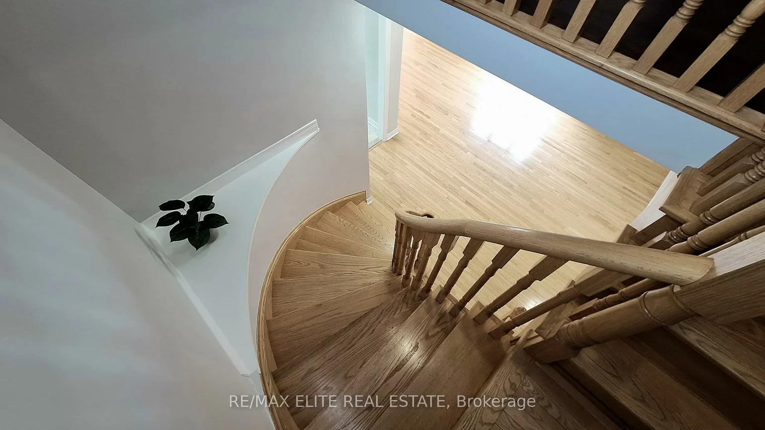 62, Macedonia, Summerhill Estates, Newmarket