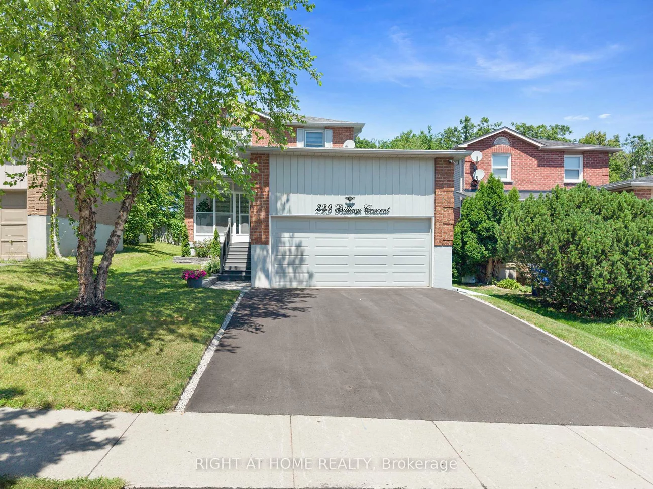 229, Billings, Bristol-London, Newmarket