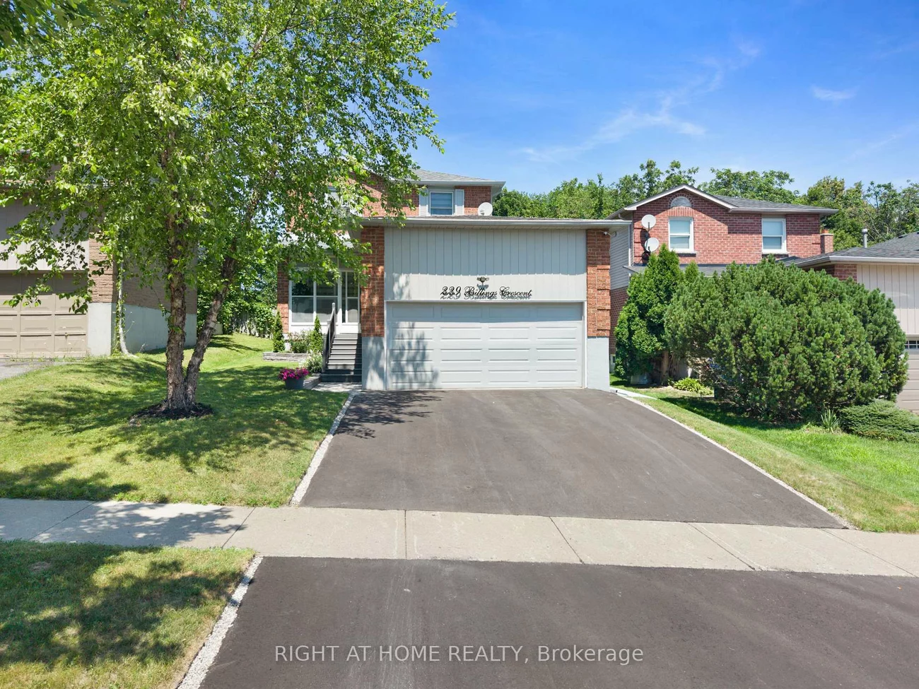 229, Billings, Bristol-London, Newmarket