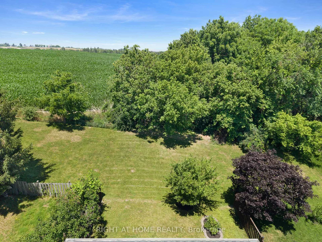 229, Billings, Bristol-London, Newmarket