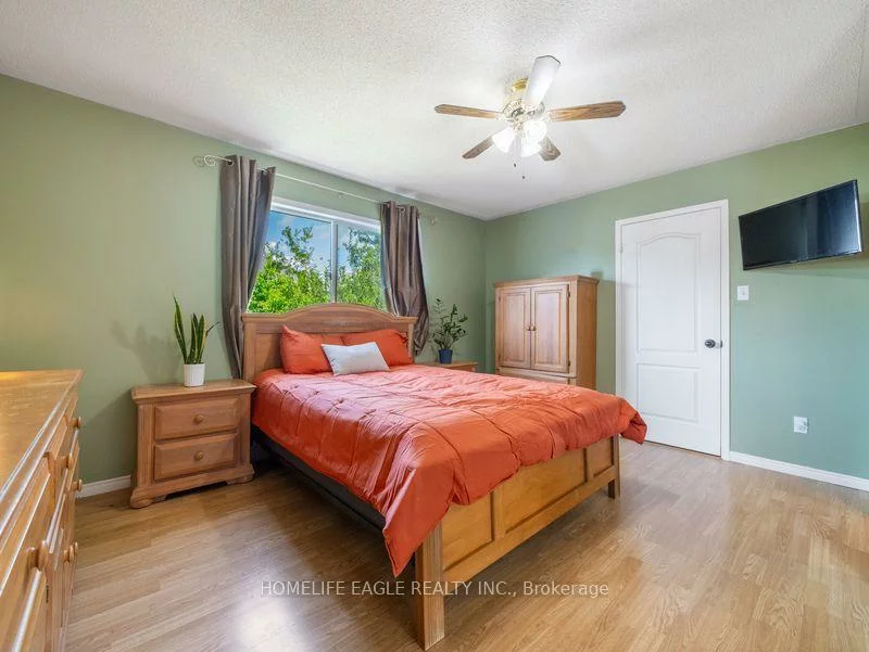 479, Heddle, Stonehaven-Wyndham, Newmarket