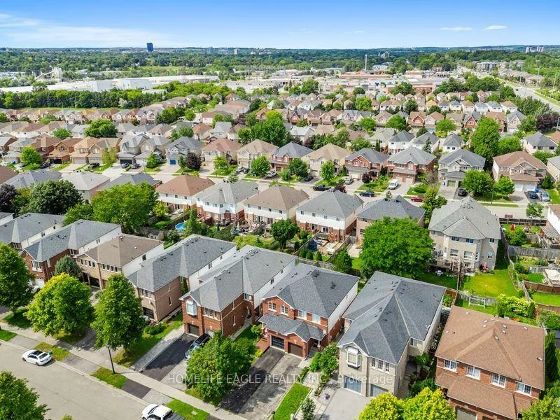479, Heddle, Stonehaven-Wyndham, Newmarket