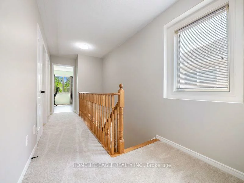 479, Heddle, Stonehaven-Wyndham, Newmarket