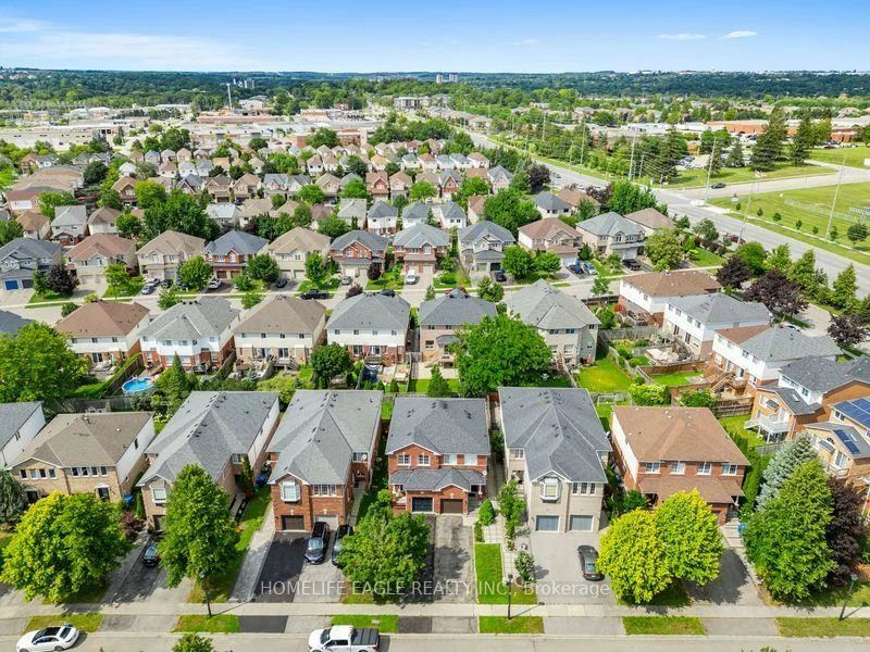 479, Heddle, Stonehaven-Wyndham, Newmarket
