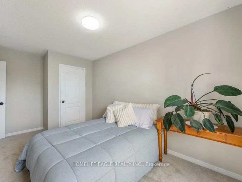 479, Heddle, Stonehaven-Wyndham, Newmarket
