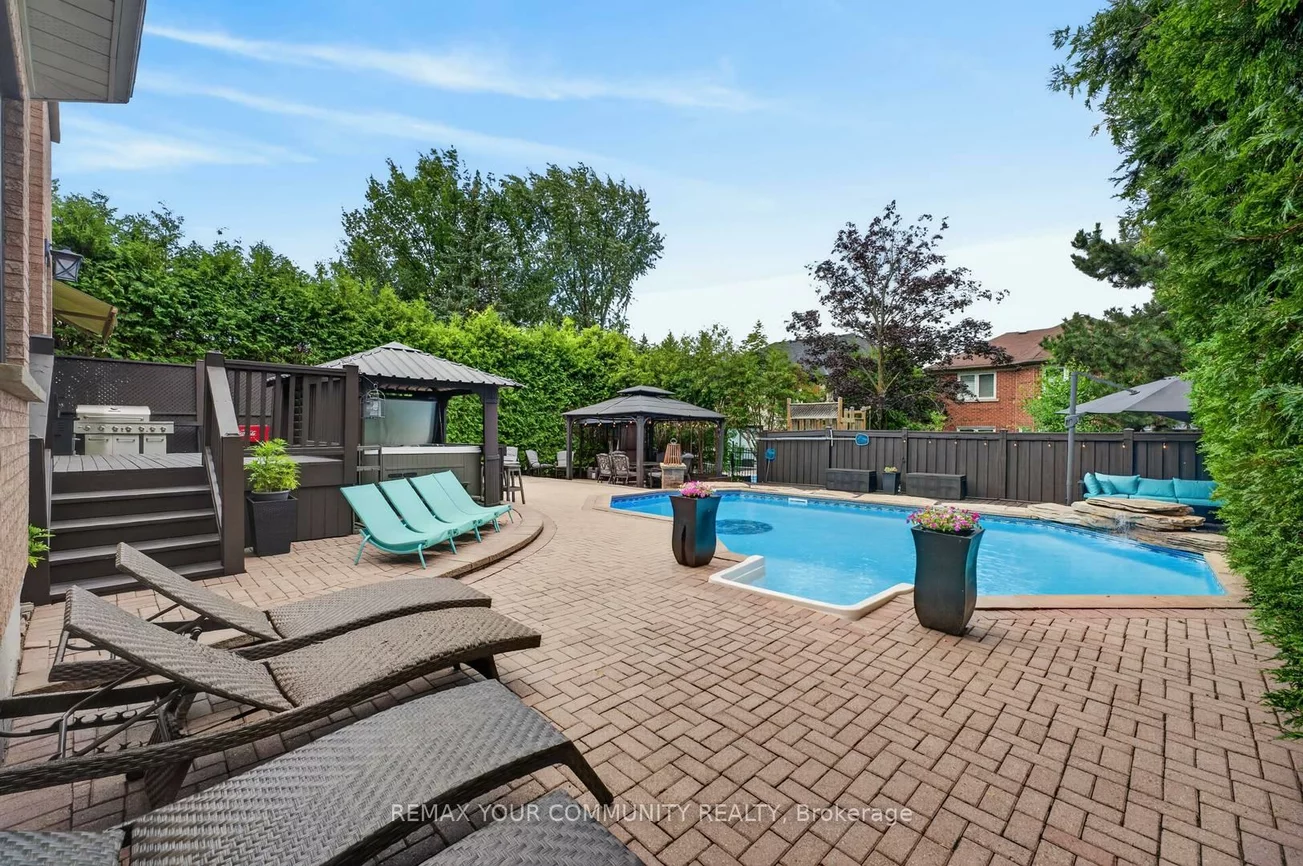 786, Exceller, Stonehaven-Wyndham, Newmarket