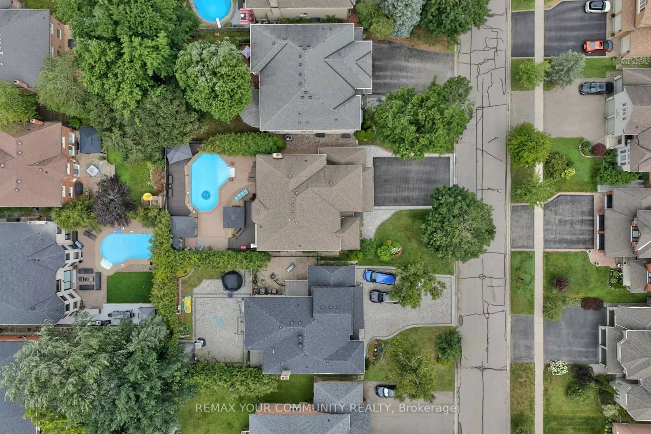 786, Exceller, Stonehaven-Wyndham, Newmarket