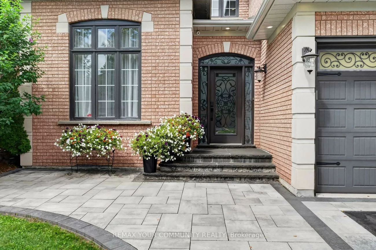 786, Exceller, Stonehaven-Wyndham, Newmarket