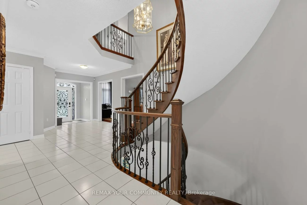 786, Exceller, Stonehaven-Wyndham, Newmarket