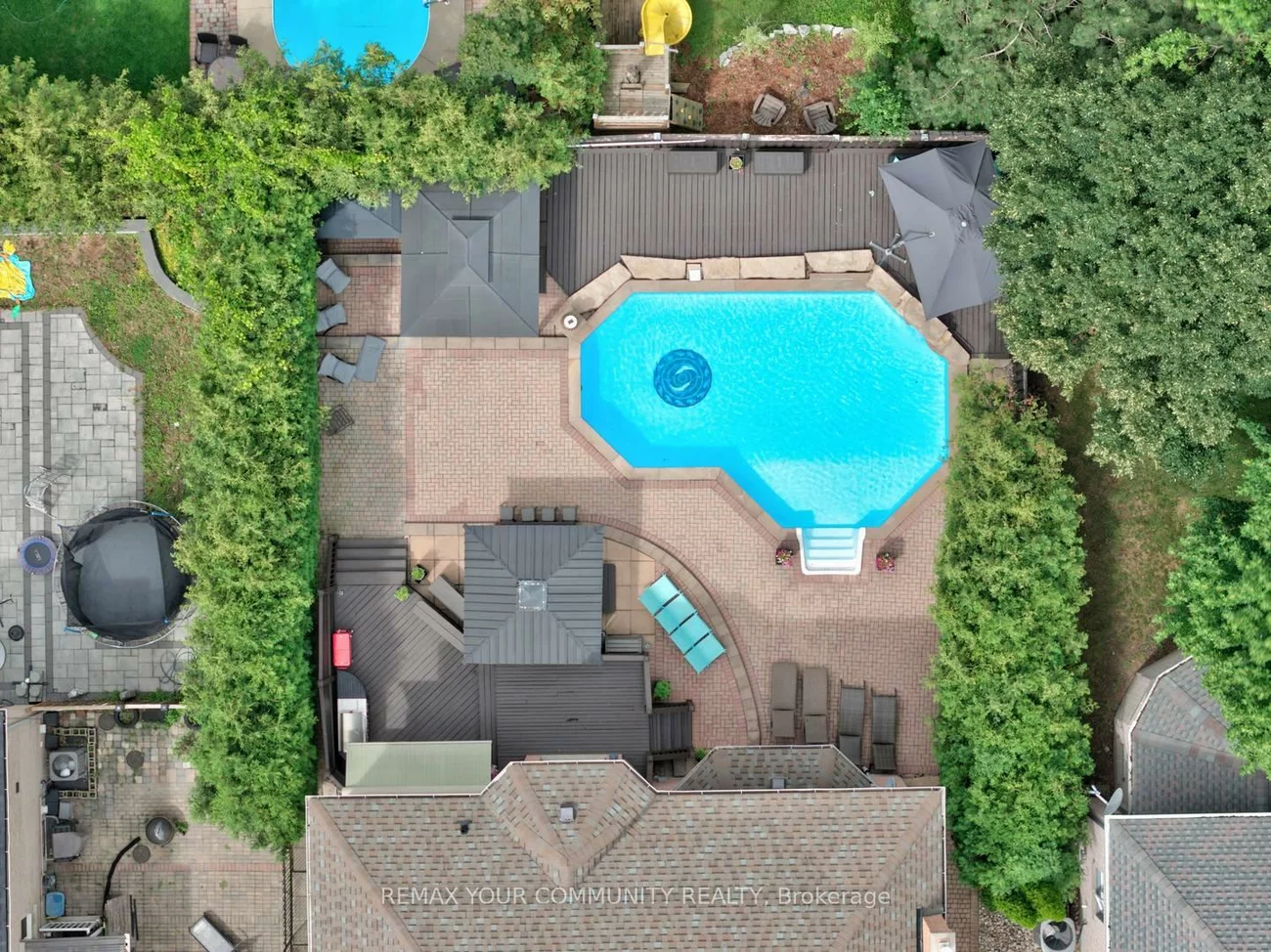 786, Exceller, Stonehaven-Wyndham, Newmarket
