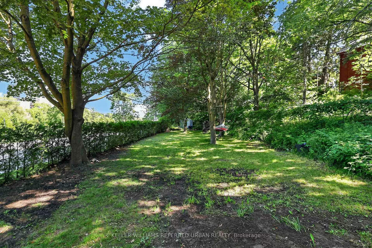341, Cotter, Central Newmarket, Newmarket